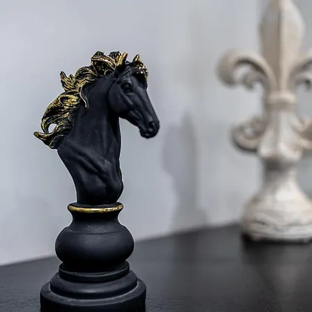 Des Chevaliers - Designed By C.m * Selestat