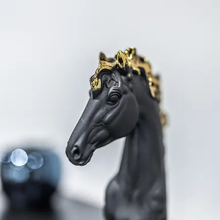 Des Chevaliers - Designed By C.m Selestat